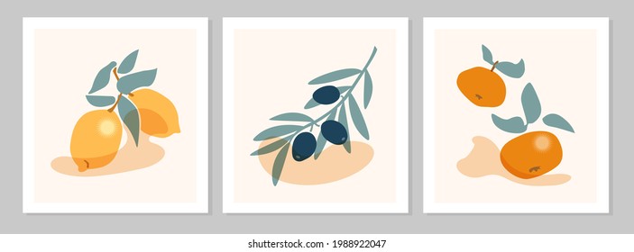 Abstract still life with lemon, olive, mandarin fruit poster. Collection of contemporary art. Vector flat illustration. Hand drawn abstract fruits design for social media, postcards, print. 