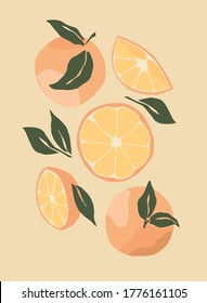 Abstract still life with oranges in pastel colors. hand draw of modern art in a flat style. Fruits with leaves for social media, poster, postcard, print. Hand drawn oranges, peaches, tangerines.