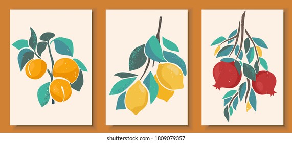 Abstract still life in pastel colors posters. Collection of contemporary art. Abstract paper cut elements, fruits and berries for social media, postcards, print. Hand drawn apricot, lemon, pomegranate