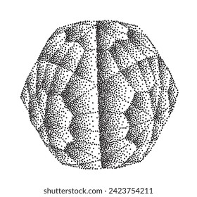 Abstract Stippled Brain Illustration in Monochrome Vector