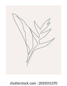 Abstract strelitzia leaf drawn by one line. Outline drawing. The art of minimalism. Suitable for home decor, posters, wall art, prints, stickers, mobile phone cases. Vector illustration.