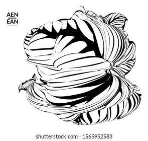 Abstract striped shape. Optical art background. Black and white striped abstract flower or insect. Botanical vector illustration isolated.