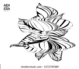 Abstract striped shape. Optical art background. Black and white striped abstract flower or insect. Botanical vector illustration isolated.