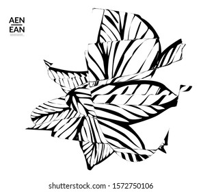 Abstract striped shape. Optical art background. Black and white striped abstract flower or insect. Botanical vector illustration isolated.