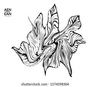 Abstract striped shape. Optical art background. Black and white striped abstract flower or insect. Botanical vector illustration isolated.