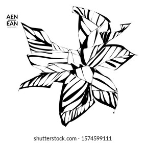 Abstract striped shape. Optical art background. Black and white striped abstract flower or insect. Botanical vector illustration isolated.