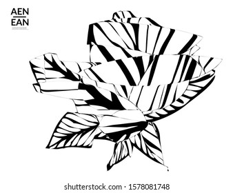 Abstract striped shape. Optical art background. Black and white striped abstract flower or insect. Botanical vector illustration isolated.