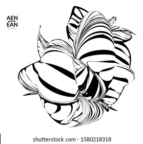 Abstract striped shape. Optical art background. Black and white striped abstract flower or insect. Botanical vector illustration isolated.