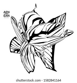 Abstract striped shape. Optical art background. Black and white striped abstract flower or insect. Botanical vector illustration isolated.