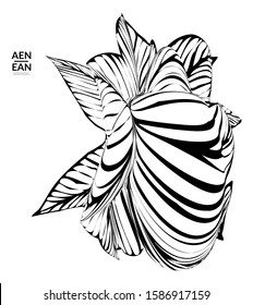 Abstract striped shape. Optical art background. Black and white striped abstract flower or insect. Botanical vector illustration isolated.
