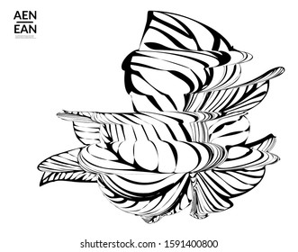 Abstract striped shape. Optical art background. Black and white striped abstract flower or insect. Botanical vector illustration isolated.
