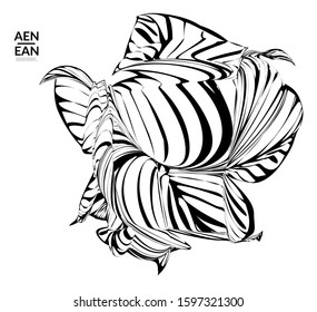 Abstract striped shape. Optical art background. Black and white striped abstract tropical flower or leaf. Botanical vector illustration isolated. Floral design.