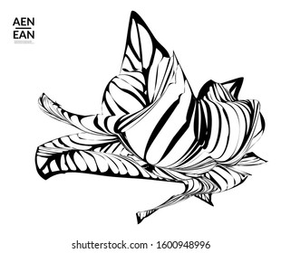Abstract striped shape. Optical art background. Black and white striped abstract tropical flower or leaf. Botanical vector illustration isolated. Floral design.