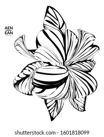 Abstract striped shape. Optical art background. Black and white striped abstract tropical flower or leaf. Botanical vector illustration isolated. Floral design.