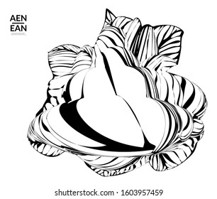 Abstract striped shape. Optical art background. Black and white striped abstract tropical flower or leaf. Botanical vector illustration isolated. Floral design.