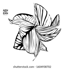 Abstract striped shape. Optical art background. Black and white striped abstract tropical flower or leaf. Botanical vector illustration isolated. Floral design.