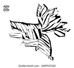 Abstract striped shape. Optical art background. Black and white striped abstract tropical flower or leaf. Botanical vector illustration isolated. Floral design.