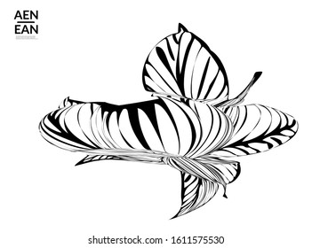 Abstract striped shape. Optical art background. Black and white striped abstract tropical flower or leaf. Botanical vector illustration isolated. Floral design.