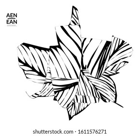 Abstract striped shape. Optical art background. Black and white striped abstract tropical flower or leaf. Botanical vector illustration isolated. Floral design.