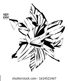 Abstract striped shape. Optical art background. Black and white striped abstract tropical flower or leaf. Botanical vector illustration isolated. Floral design.