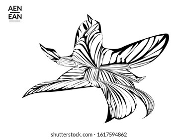 Abstract striped shape. Optical art background. Black and white striped abstract tropical flower or leaf. Botanical vector illustration isolated. Floral design.