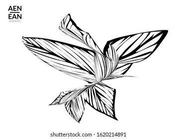 Abstract striped shape. Optical art background. Black and white striped abstract tropical flower or leaf. Botanical vector illustration isolated. Floral design.