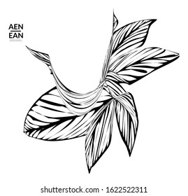 Abstract striped shape. Optical art background. Black and white striped abstract tropical flower or leaf. Botanical vector illustration isolated. Floral design.