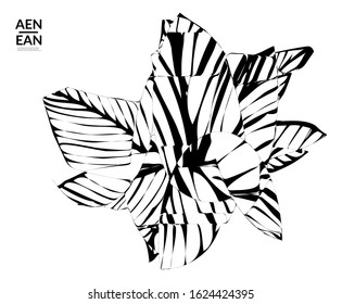 Abstract striped shape. Optical art background. Black and white striped abstract tropical flower or leaf. Botanical vector illustration isolated. Floral design.
