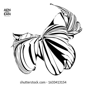 Abstract striped shape. Optical art background. Black and white striped abstract tropical flower or leaf. Botanical vector illustration isolated. Floral design.