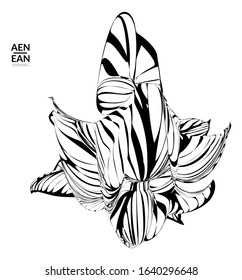 Abstract striped shape. Optical art background. Black and white striped abstract tropical flower or leaf. Botanical vector illustration isolated. Floral design.