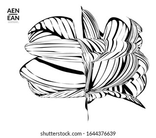 Abstract striped shape. Optical art background. Black and white striped abstract tropical flower or leaf. Botanical vector illustration isolated. Floral design.