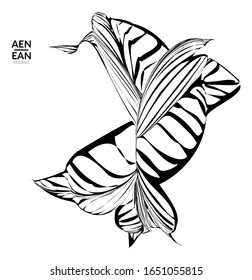 Forma abstracta con rayas. Fondo de arte óptico. Flor o hoja tropical abstracta rayada en blanco y negro. Ilustración vectorial botánica aislada. Diseño floral.