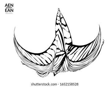 Forma abstracta con rayas. Fondo de arte óptico. Flor o hoja tropical abstracta rayada en blanco y negro. Ilustración vectorial botánica aislada. Diseño floral.