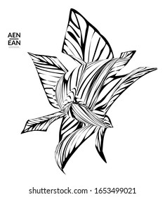 Abstract striped shape. Optical art background. Black and white striped abstract tropical flower or leaf. Botanical vector illustration isolated. Floral design.