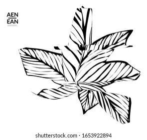 Abstract striped shape. Optical art background. Black and white striped abstract tropical flower or leaf. Botanical vector illustration isolated. Floral design.