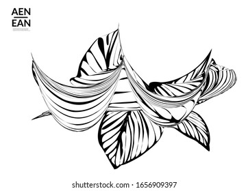 Abstrakte gestreifte Form. Optische Kunsthintergrund. Abstrakte tropische Blume oder Blätter mit schwarz-weißem Streifen. Botanische Vektorillustration Illustration einzeln. Blumendesign.