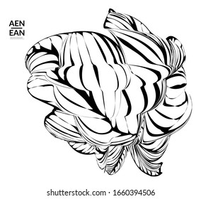 Forma abstracta con rayas. Fondo de arte óptico. Flor o hoja tropical abstracta rayada en blanco y negro. Ilustración vectorial botánica aislada. Diseño floral.