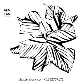 Abstract striped shape. Optical art background. Black and white striped abstract tropical flower or leaf. Botanical vector illustration isolated. Floral design.