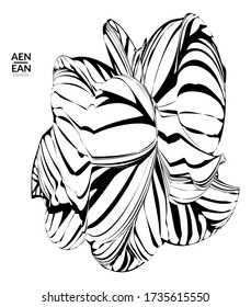 Abstract striped shape. Optical art background. Black and white striped abstract tropical flower or leaf. Botanical vector illustration isolated. Floral design.