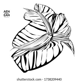 Abstract striped shape. Optical art background. Black and white striped abstract tropical flower or leaf. Botanical vector illustration isolated. Floral design.