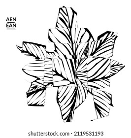 Forma abstracta de rayas. Fondo de arte óptico. Flor o hoja tropical abstracta rayada en blanco y negro. Ilustración vectorial botánica aislada. Diseño floral.
