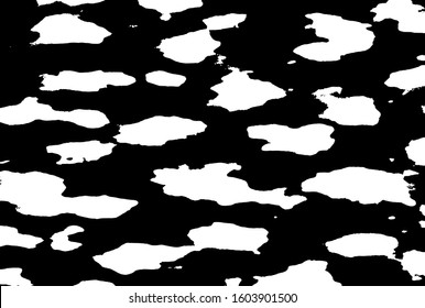Abstract Structural Curved Pattern. Black and White Dots, Lines. Poster for Print. The Vector Illustration image. For posters, banners, retro design