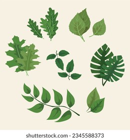 Abstract stylized leaves set. Nature illustration. tree illustration.