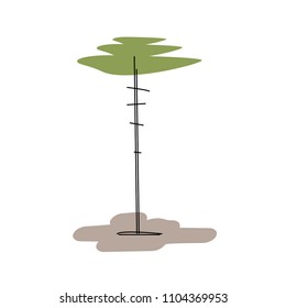 Abstract stylized pine. Hand drawn icon isolated on white. Vector illustration.