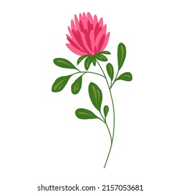 Abstract stylized vector flower. Modern floral illustration, botanical clipart.