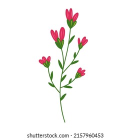 Abstract stylized vector flower. Modern floral illustration, botanical clipart.