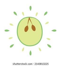 Abstract succulent sapodilla icon with splashes isolated on white background - Vector illustration