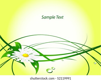 abstract summer background with  chamomile and water drops