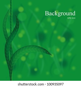 Abstract summer background with green leaves, vector illustration EPS 10.0
