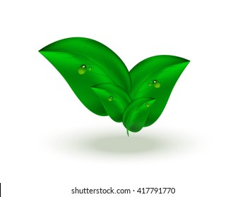 Abstract summer background with green leaves in the center, vector illustration